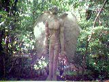 angel