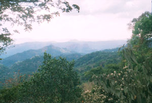 hills